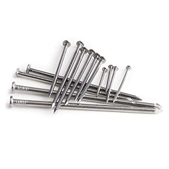 Galvanised Nails